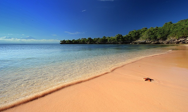 Pink-Summer-Beach-Lombok